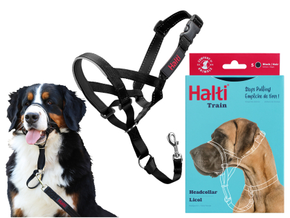 HALTI Headcollar black 5