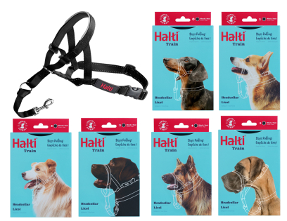 HALTI Headcollar zwart