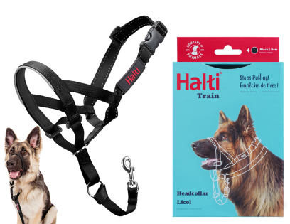 HALTI Headcollar black 4