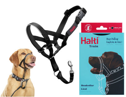 HALTI Headcollar black 3