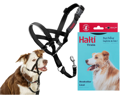 HALTI Headcollar black 2