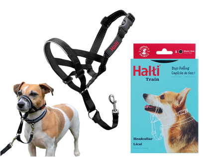 HALTI Headcollar black 1