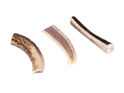 Deer antler SPLIT S 17-24g bulk