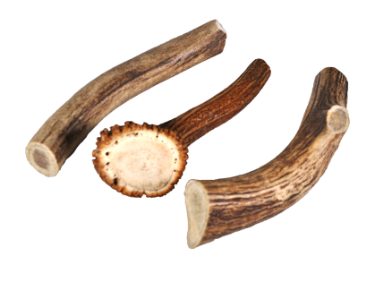 Deer antler XL 150-224g  bulk