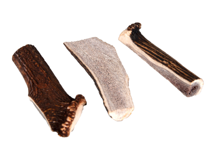 Deer antler SPLIT XL 75-112g bulk