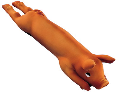 Latex - Toys - DogDog toy latex Carrot ribble 19cm - Vadigran
