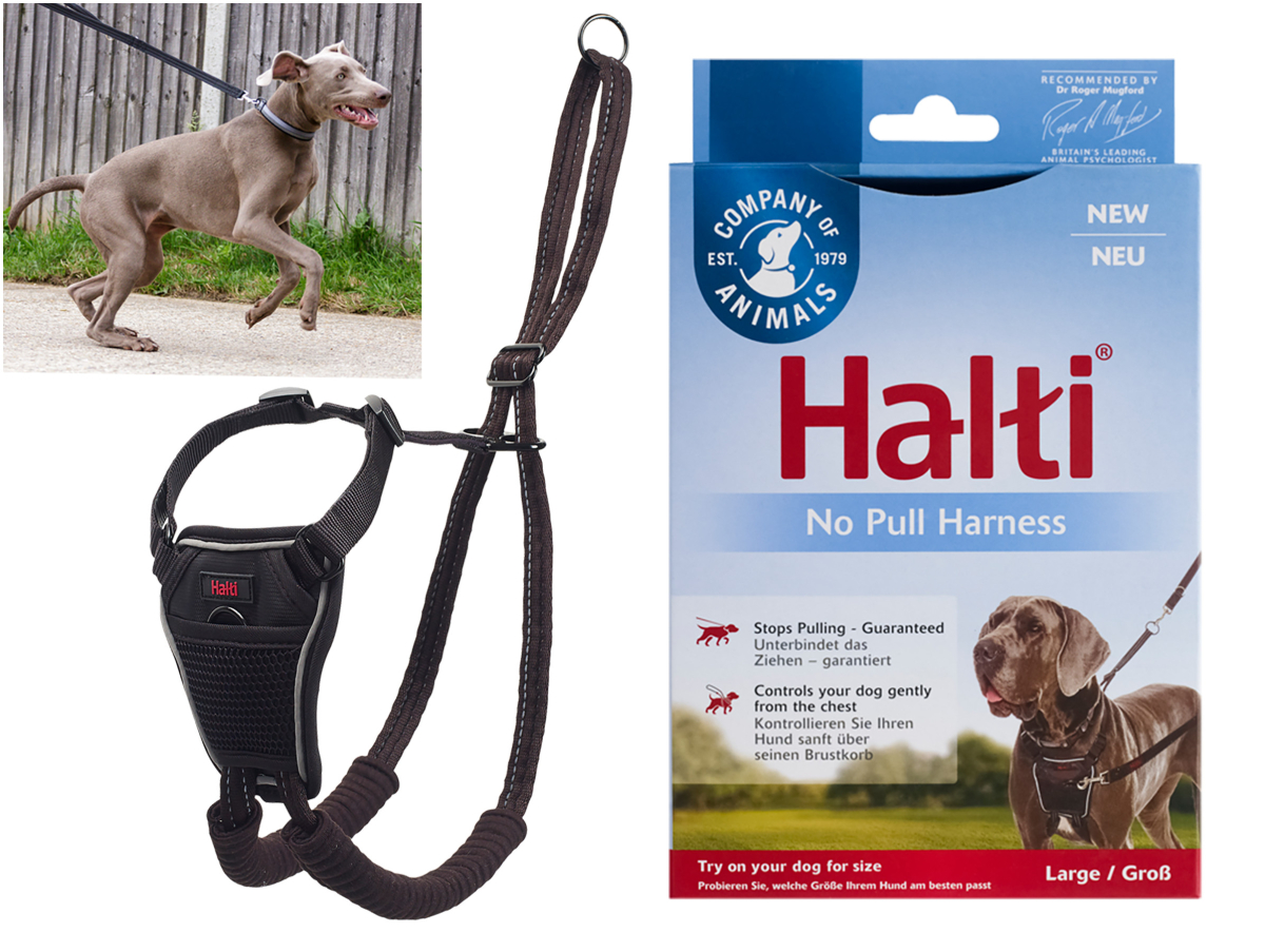 Training and tracking lead Training DogHALTI No Pull Harness