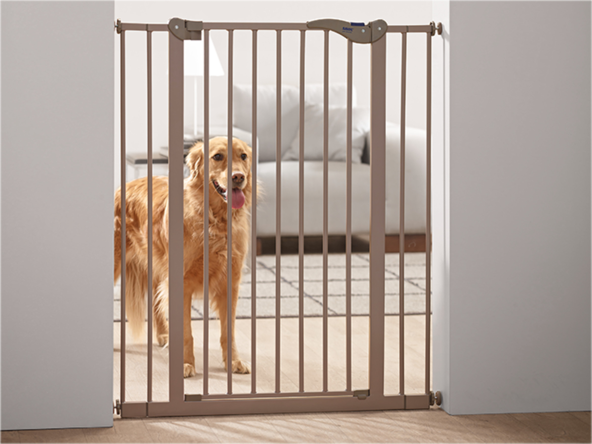 Dog hotsell barrier outdoor