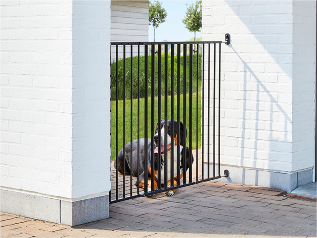 Dog fence gate outdoor best sale