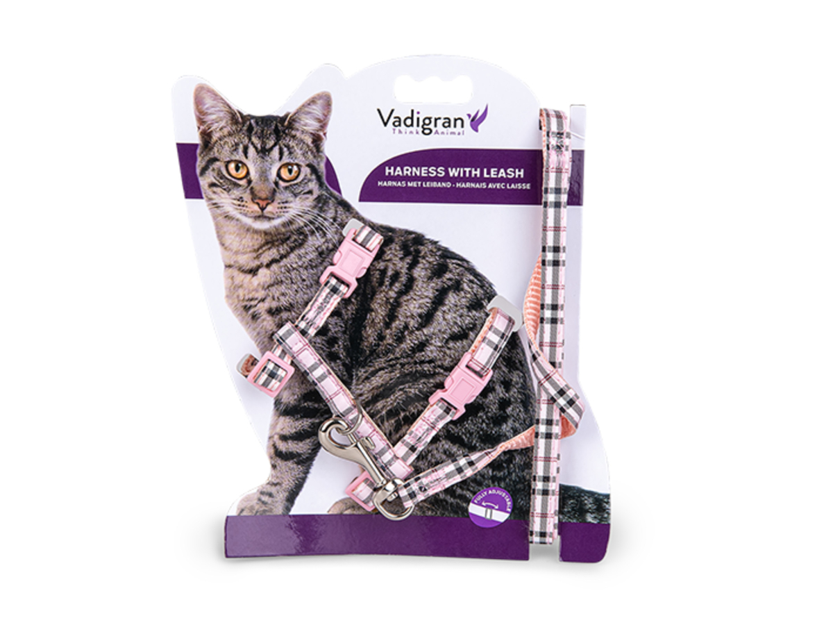 pink cat harness and leash