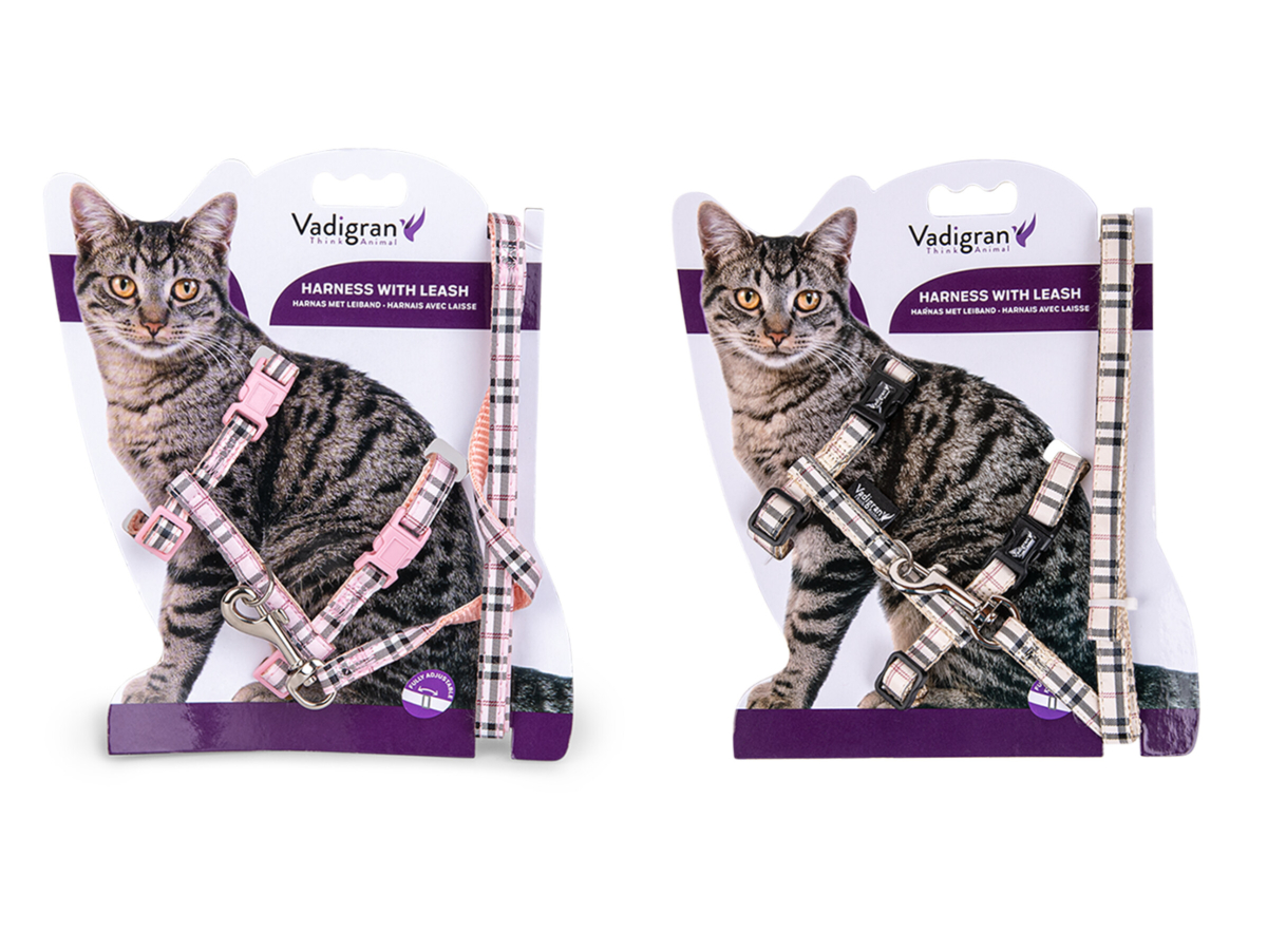 Cat harness and lead pets at home best sale