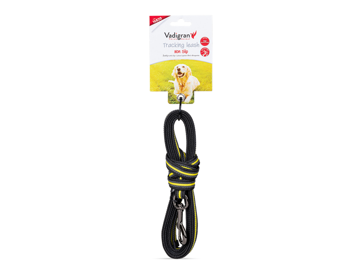 Dog tracking outlet leash