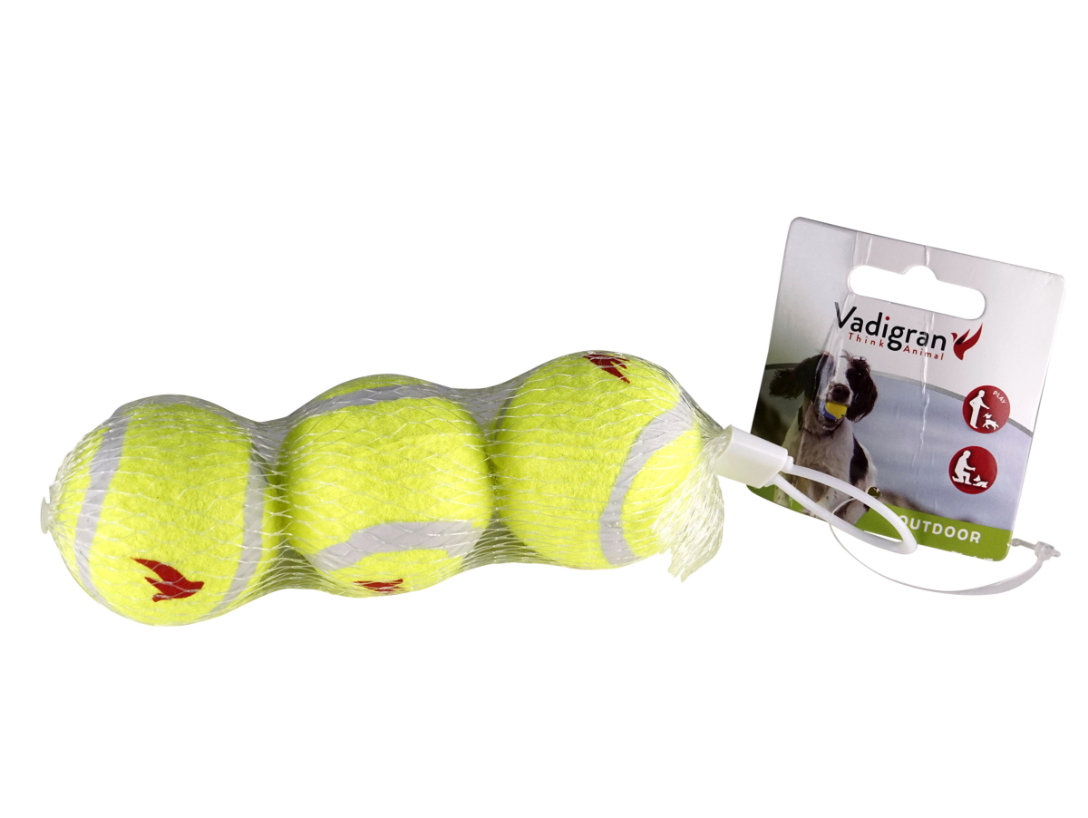 Jouet pour chien Balle Tennis