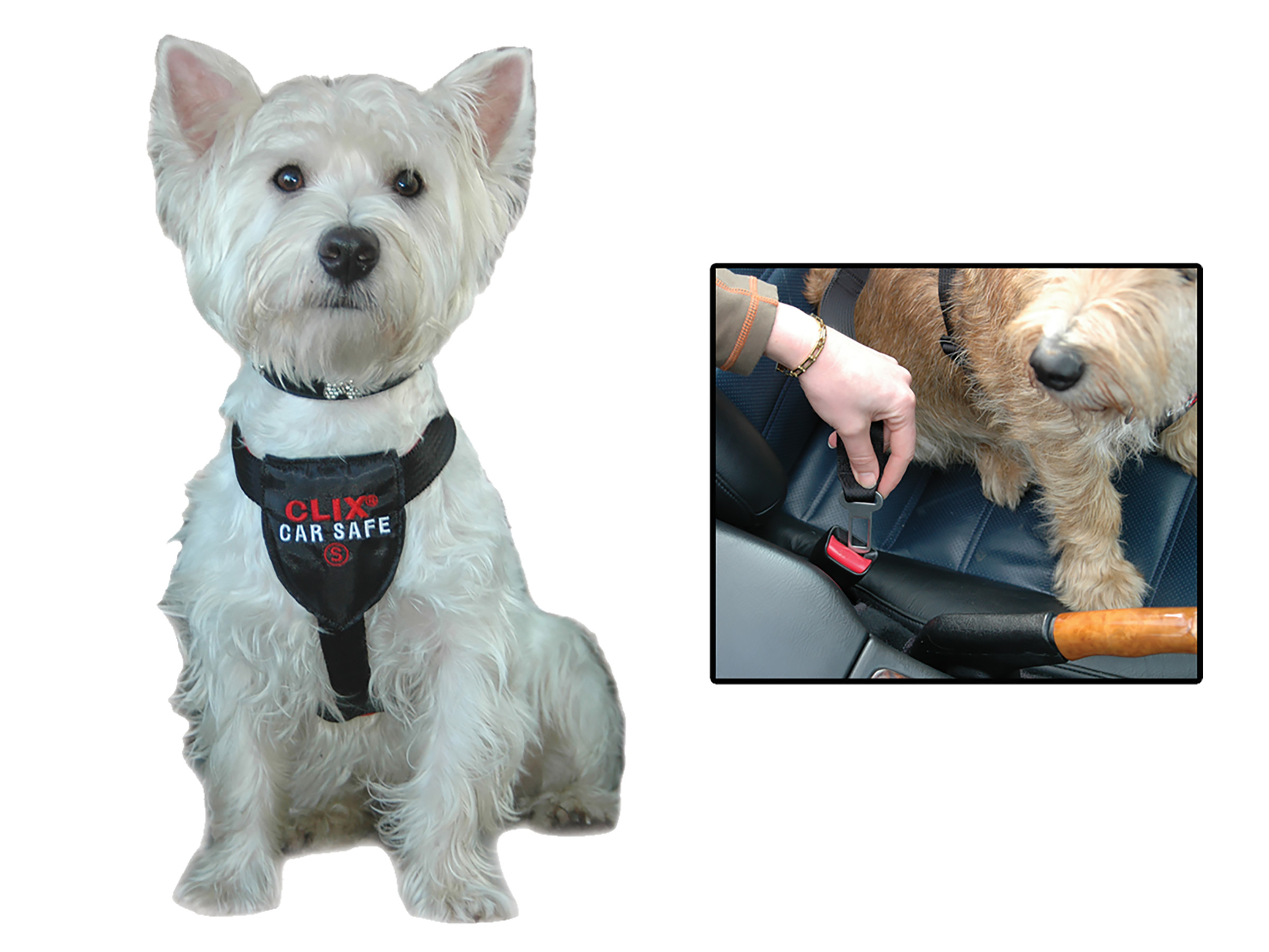 Accessoires de transport - Transport - ChienCeinture de sécurité chien Clix  Car Safe S - Vadigran