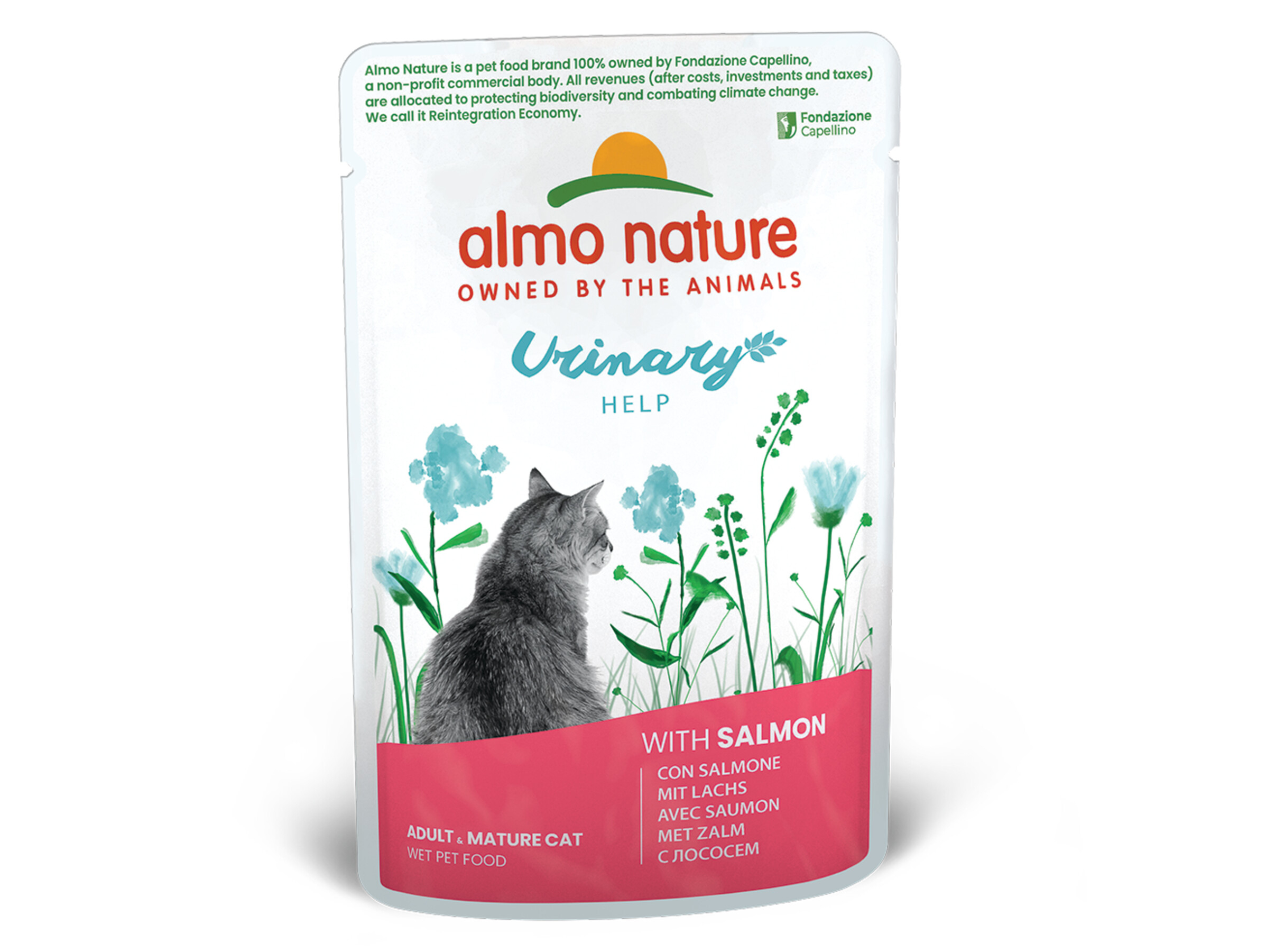 Almo cat food best sale