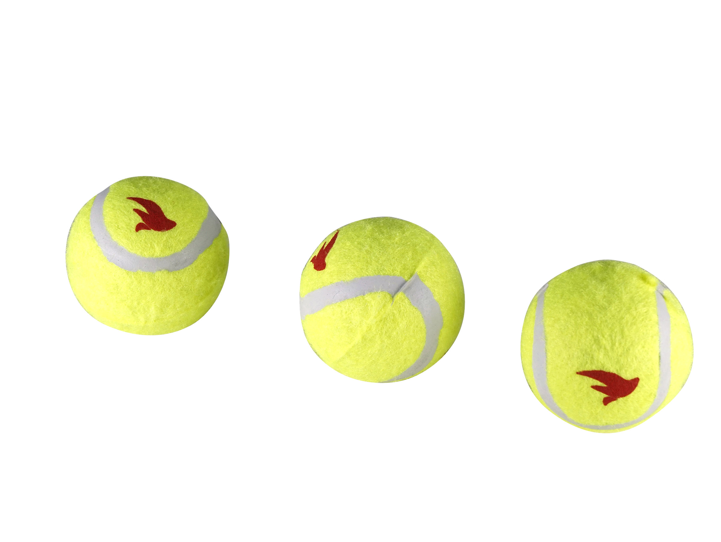 Balle de tennis jouet chien