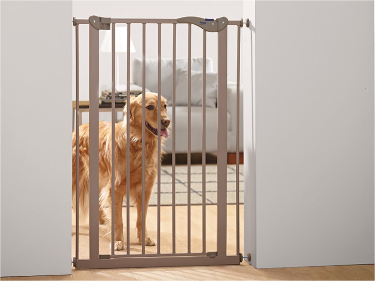 Barrière pour chien avec porte - 4 parties