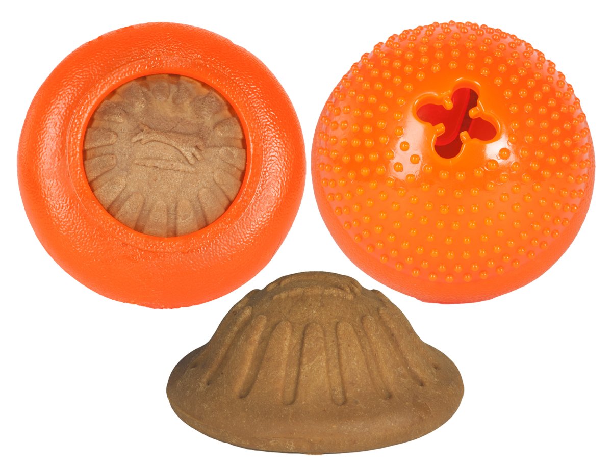 Bento ball for dogs best sale