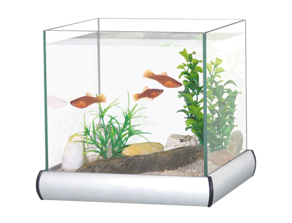 Aquariums - Aquariums & Accessoires - AquaAquarium frame Alu 8L+1kg ...